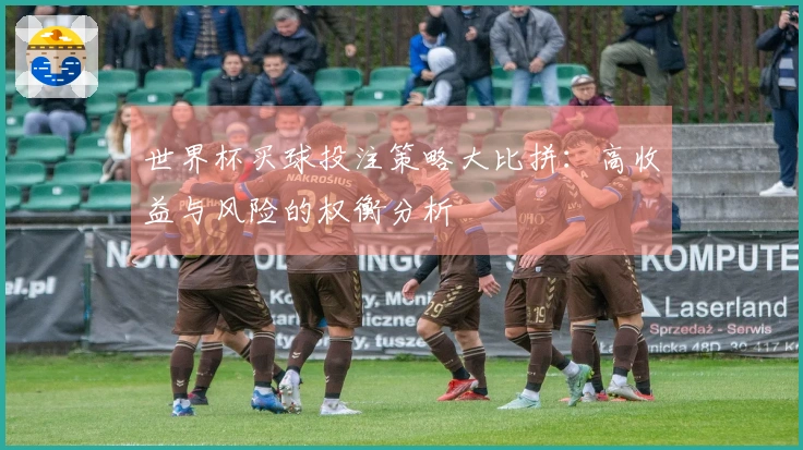 世界杯买球投注策略大比拼：高收益与风险的权衡分析