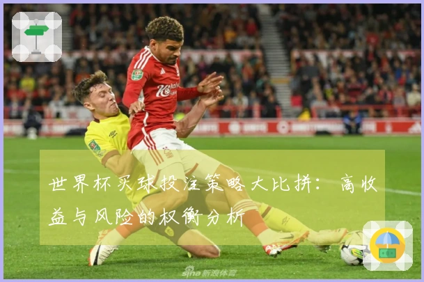 世界杯买球投注策略大比拼：高收益与风险的权衡分析