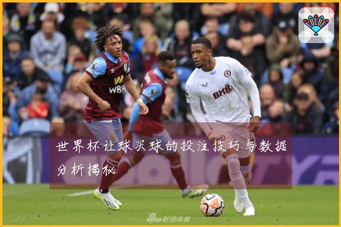 世界杯让球买球的投注技巧与数据分析揭秘