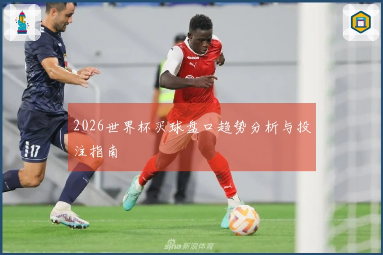 2026世界杯买球盘口趋势分析与投注指南