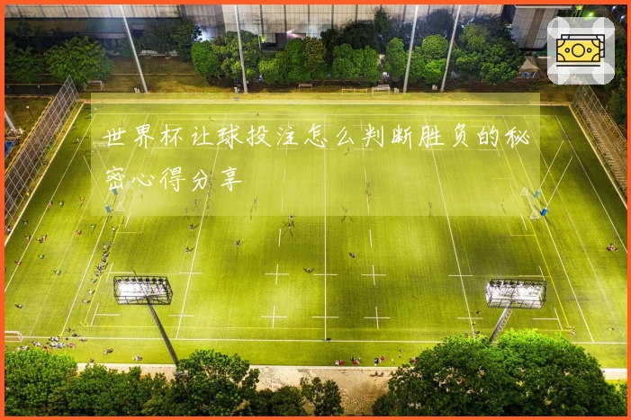 世界杯让球投注怎么判断胜负的秘密心得分享