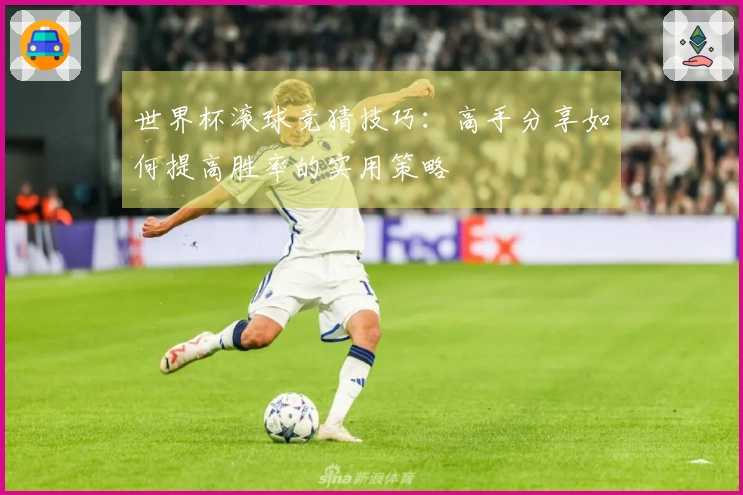 世界杯滚球竞猜技巧：高手分享如何提高胜率的实用策略
