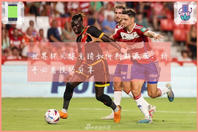 世界杯买球竞猜如何判断赢面？新手必看技巧分享