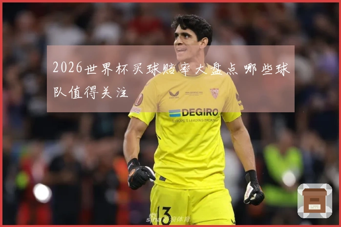 2026世界杯买球赔率大盘点 哪些球队值得关注