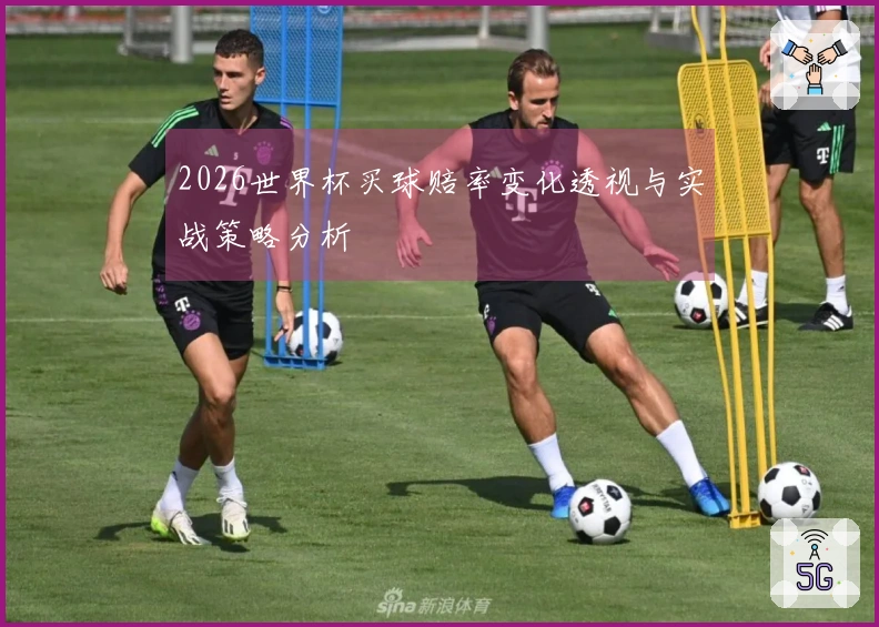 2026世界杯买球赔率变化透视与实战策略分析