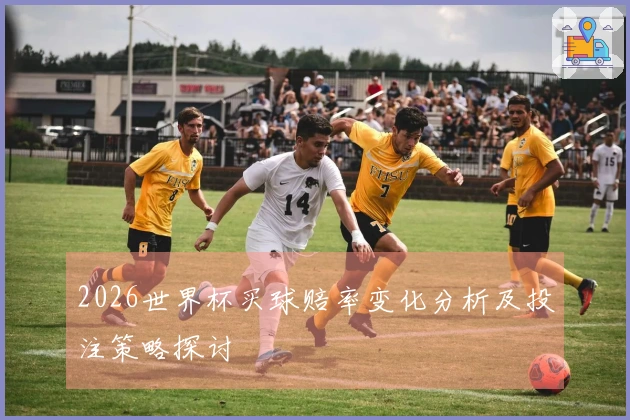 2026世界杯买球赔率变化分析及投注策略探讨