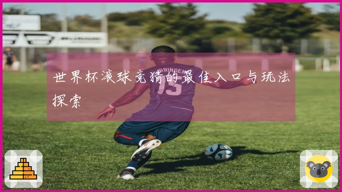 世界杯滚球竞猜的最佳入口与玩法探索
