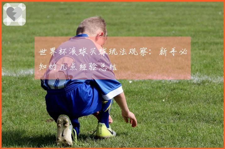 世界杯滚球买球玩法观察：新手必知的几点经验总结
