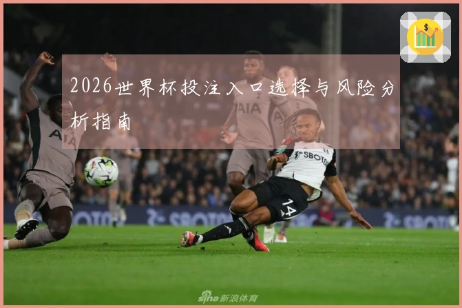 2026世界杯投注入口选择与风险分析指南