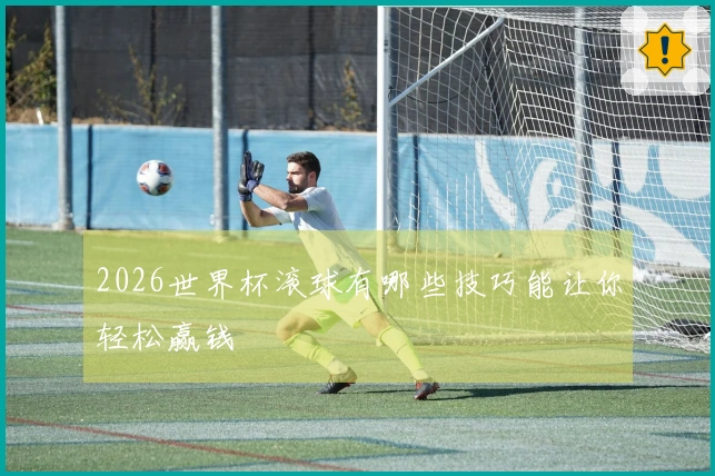 2026世界杯滚球有哪些技巧能让你轻松赢钱