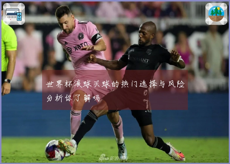 世界杯滚球买球的热门选择与风险分析你了解吗